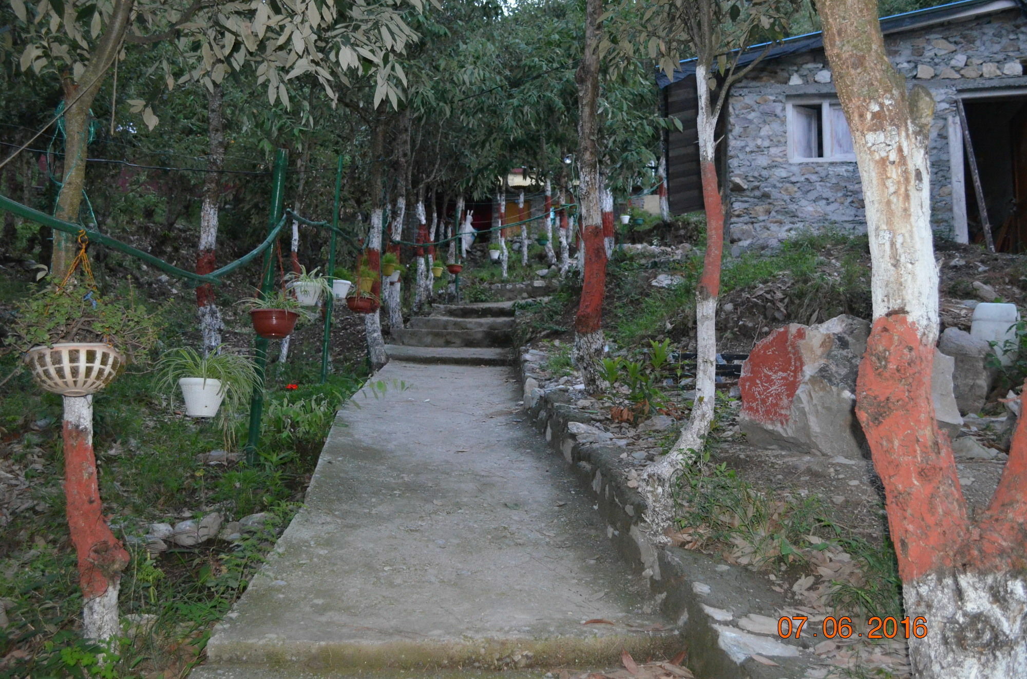 Kafal Resort Nainital Bagian luar foto
